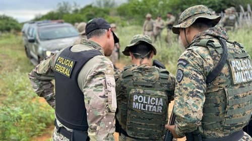 Plantação equivalente a 1 tonelada de maconha é destruída pela polícia na Bahia