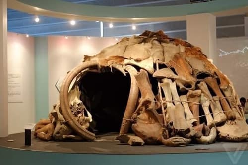 Descobertas Arqueológicas Revelam Abrigos Pré-Históricos de Mamutes na Ucrânia e Rússia