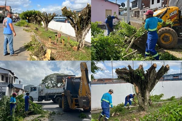 Ibirataia: Secretaria de Agricultura e Meio Ambiente retoma serviços de poda e renovação das árvores