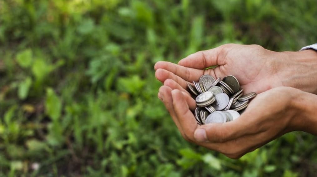 Crédito rural tem aumento no primeiro semestre de 2024