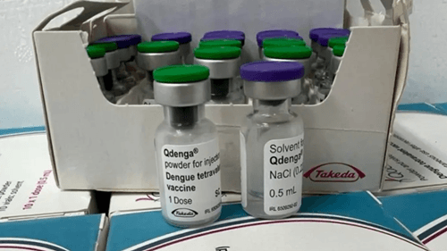 Bahia recebe as primeiras doses da vacina contra dengue
