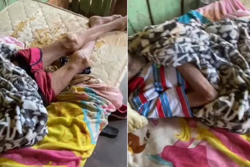Funcionários vão cortar energia de casa e encontram idoso coberto por formigas