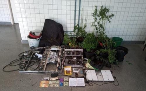 CIPE Central divulga detalhes de desmonte de mini laboratório de cultivo de maconha em Ipiaú