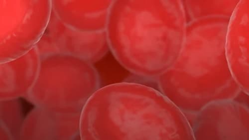 Cientistas ganham prêmio internacional por avanço que pode revolucionar tratamento de doenças genéticas