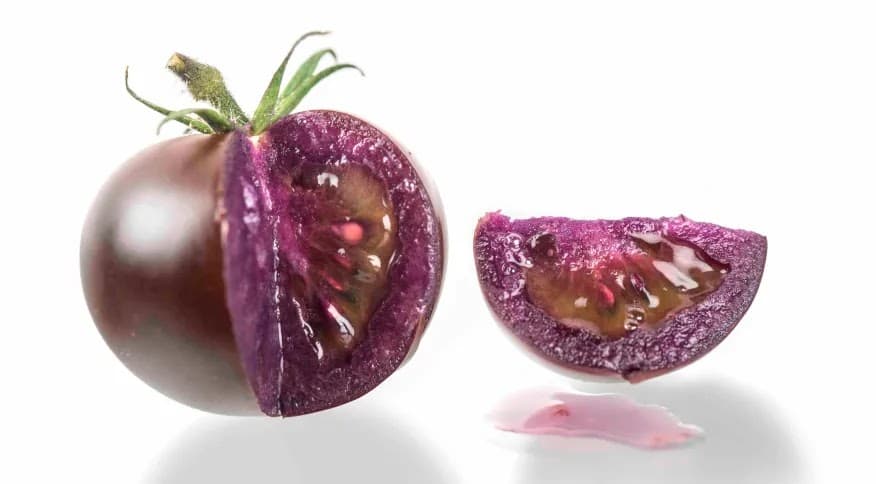 Tomate roxo geneticamente modificado pode chegar aos supermercados dos EUA