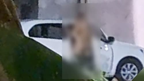 Casal é flagrado fazendo sexo em público e crianças presenciam a cena