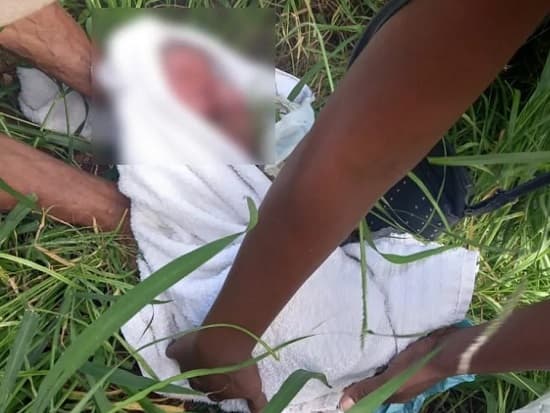 Recém-nascido com placenta e cordão umbilical é encontrado em matagal