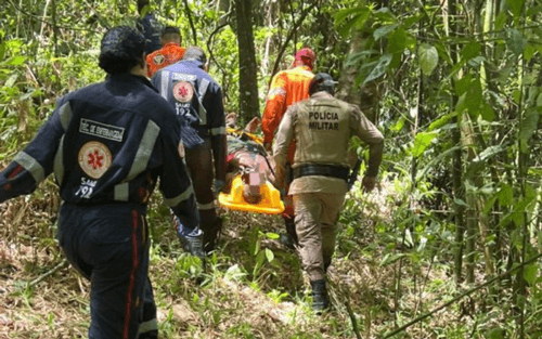 Idoso desaparecido há 30 dias é encontrado com vida em mata na Bahia