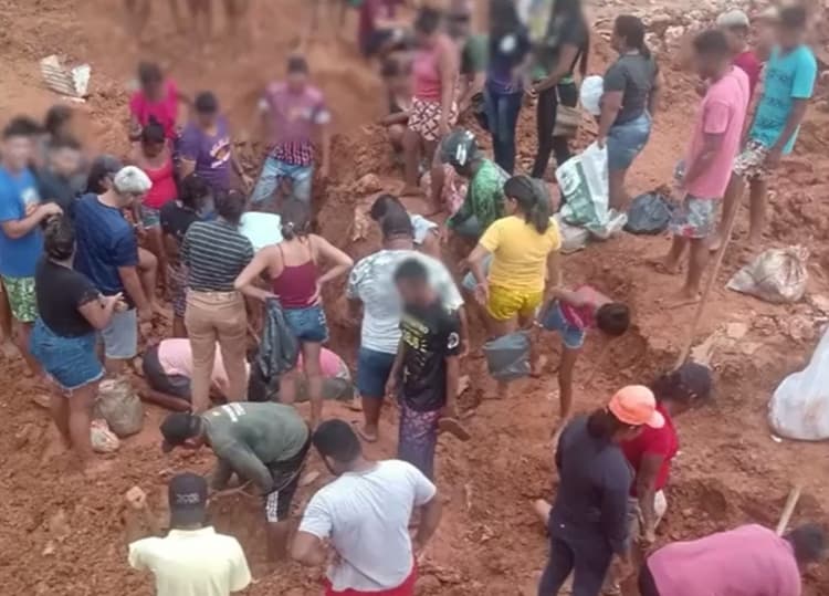 Famílias desenterram frangos de lixão para se alimentarem no Amazonas