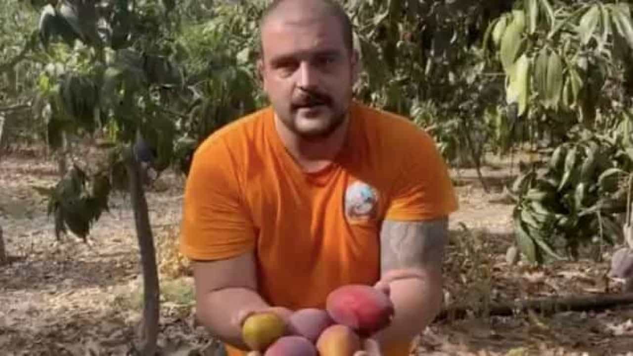 Agricultor espanhol vende 6 mil quilos de mangas em duas horas após apelo nas redes socias