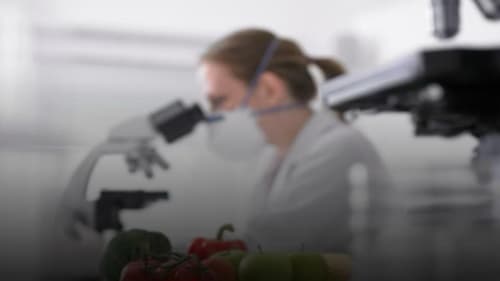 Curso Técnico em Alimentos alcança segundo lugar em empregabilidade no Senai