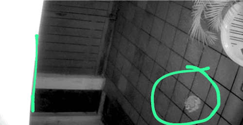Câmera de segurança flagra suposto fantasma ou óvni em forma de esfera na Bahia