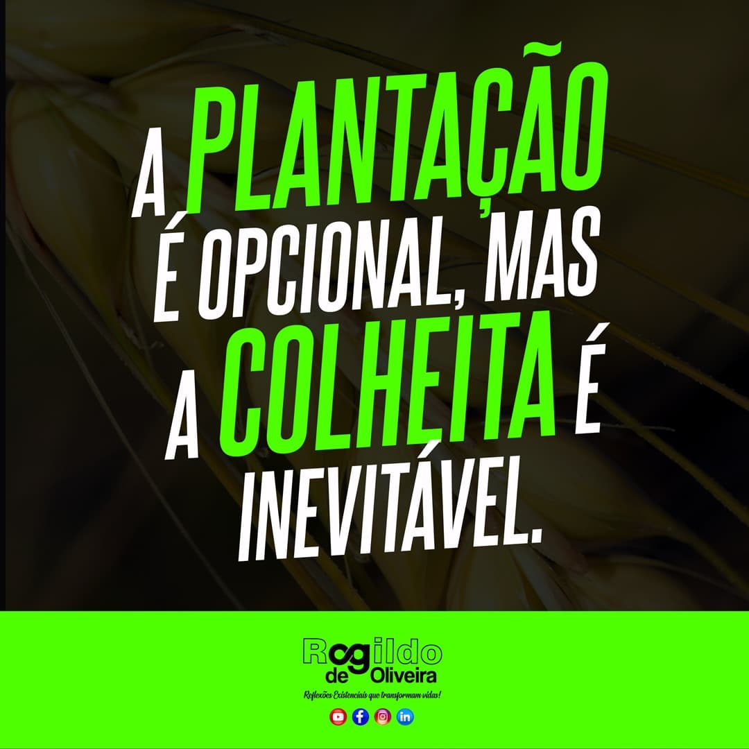 REFLEXÃO DO DIA
