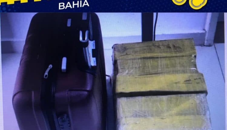Mulher é presa pela PRF transportando maconha dentro de ônibus na BR 116