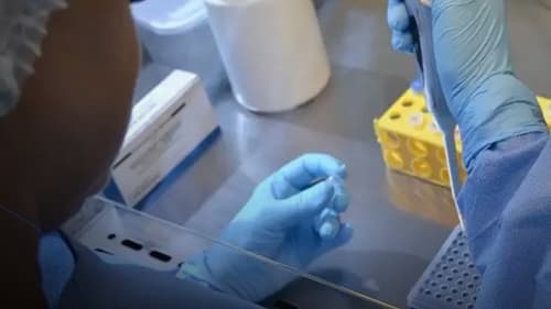 Nova linhagem do Sars-CoV-2, a XEC, detectada no Brasil