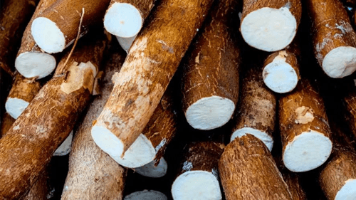 Os Benefícios do Aimpim: Um superalimento para a saúde