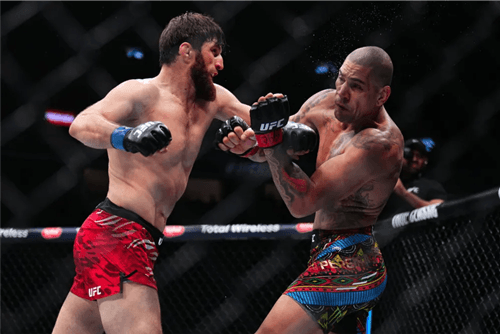 Alex Poatan perde cinturão dos meio-pesados para Magomed Ankalaev no UFC 313