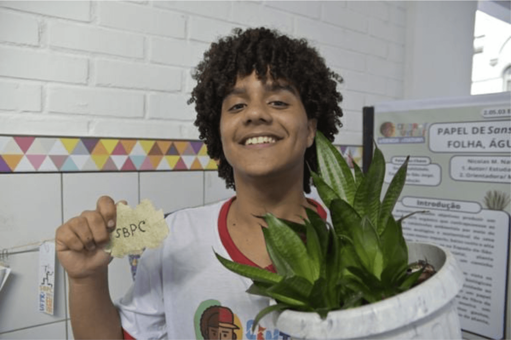 Estudante Baiano Revoluciona com Papel Feito a Partir de Espada-de-São-Jorge