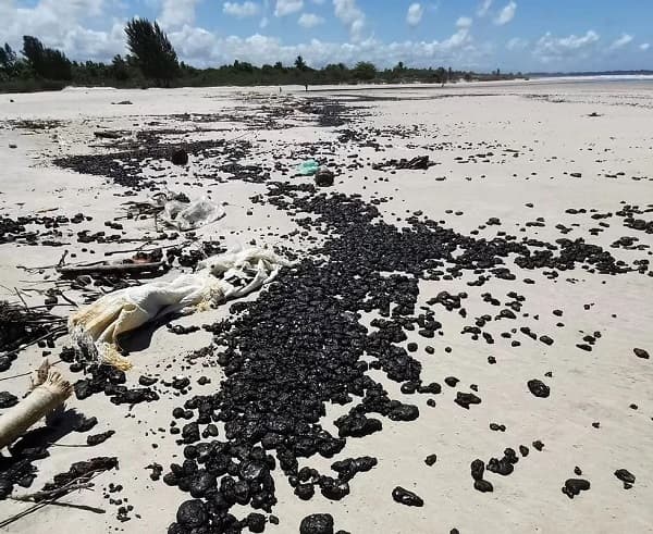Pesquisa indica que óleo na praia da Barra é petróleo do Kuwait