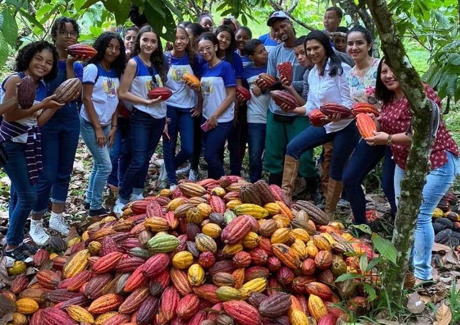 Ibirataia: Alunos do Colégio Municipal Marilúzia Silva Machado visitam GranKakao Chocolates