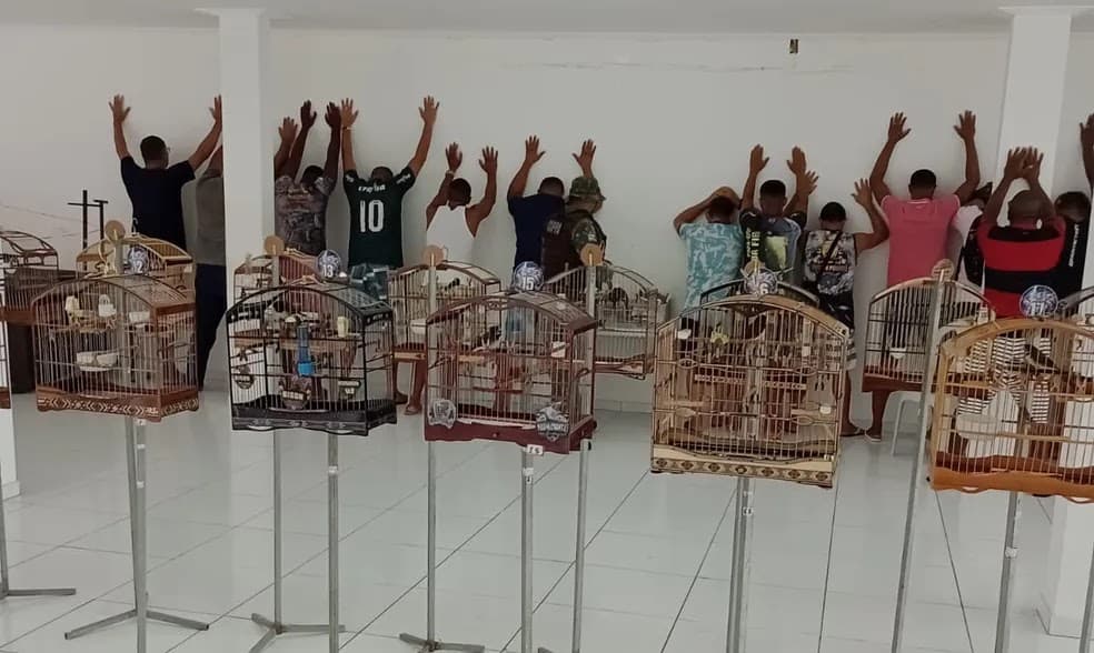 Mais de 30 pessoas são flagradas com aves pela Polícia em Salvador na manhã deste sábado (11)