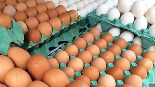 Preço do ovo dispara quase 20% em março