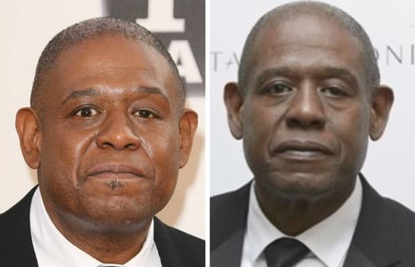 Curiosidades: Os Irmãos Whitaker: Duas Estrelas Brilhando em Hollywood