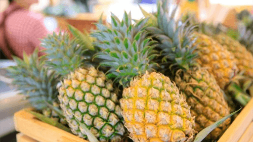 Abacaxi se destaca como fruta que combate inflamações e fortalece o organismo