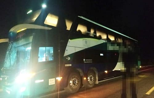 Homem morre atropelado por ônibus de turismo na BR-101