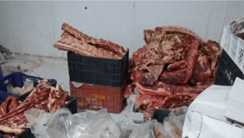 Dez toneladas de carne podre são apreendidas em comércio na Bahia