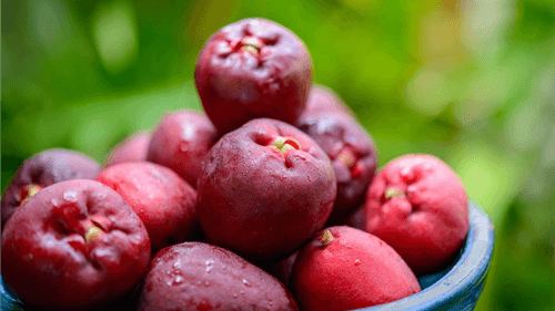 Jambo: A fruta exótica rica em benefícios para a saúde