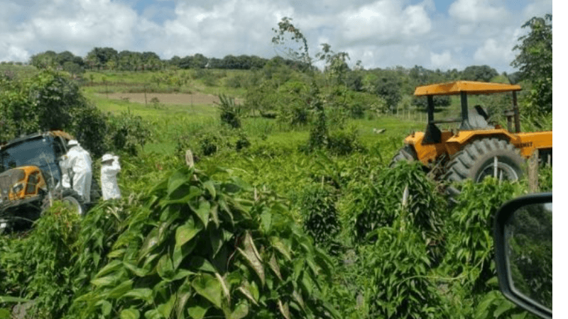 Pai mata própria filha de um ano atropelada por um trator