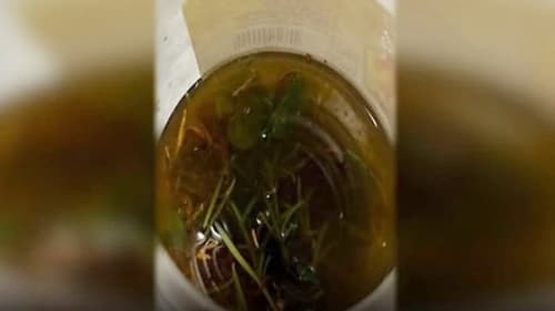 Bebê é intoxicado após ingerir mistura com álcool e maconha