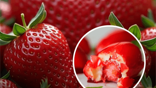 "Morango do Amor" Viraliza nas Redes Sociais e Impacta Preço da Fruta no Brasil