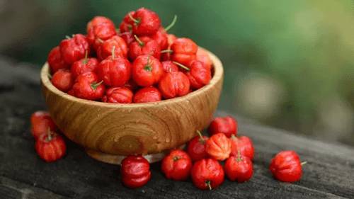 Acerola: Benefícios e propriedades da fruta rica em vitamina C