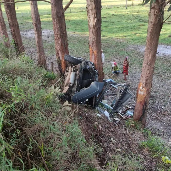 Animal solto na pista causa grave acidente na BA-001, mas casal sobrevive ileso
