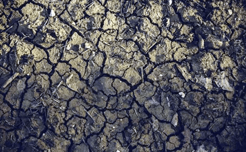 Dois tremores de terra são registrados em Amargosa em menos de 24h