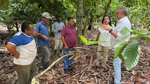 Ipiaú: Prefeita Laryssa Dias investe na parceria com pequenos produtores e entidades representativas do Cacau.