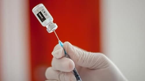 Vacina de mRNA elimina tumores em camundongos e pode ser chave contra o câncer