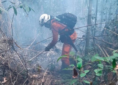 Brasil teve 11,39 milhões de hectares atingidos pelo fogo este ano