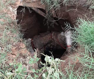 Homem e cavalo caem em buraco em Jequié