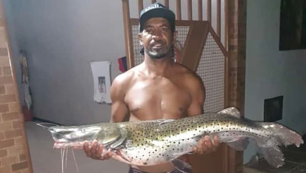 Ibotirama: pescador comemora captura de surubim de 15 kg no rio São Francisco