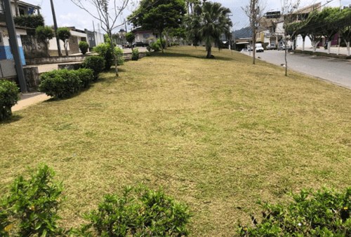 Ibirataia: Prefeitura intensifica Serviços de Manutenção e Paisagismo