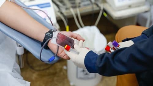 Testemunhas de Jeová mudam posição sobre doação de sangue e liberam uso de componentes