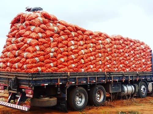 Aumento da produção leva preços da cebola a cair em Irecê e região