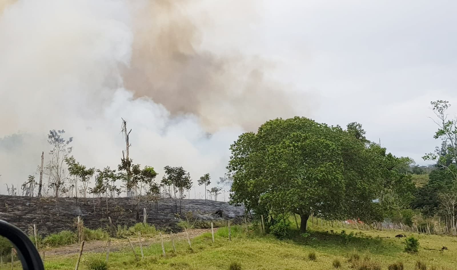 Queimadas perto da BA 650 que liga Ibirataia/Ipiaú deixa transeuntes em alerta
