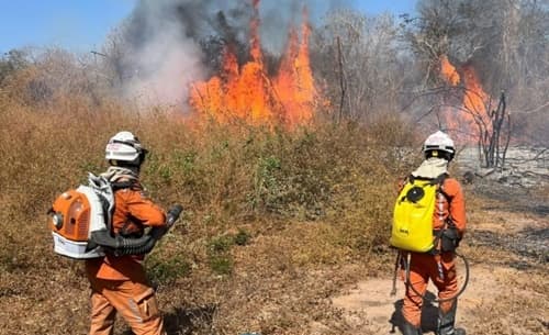 Bombeiros controlam incêndio florestal em Bom Jesus da Lapa
