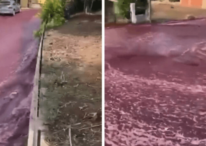 'Rio' de vinho inunda ruas de cidade em Portugal após depósito estourar; assista o vídeo