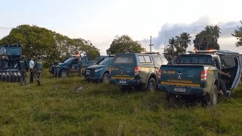 Ibama Apreende 370 Hectares de Mata Atlântica em Operação no Sul da Bahia
