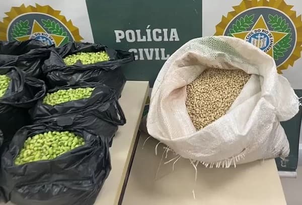Homem é preso acusado de pintar de verde feijão fradinho para vender como feijão de corda